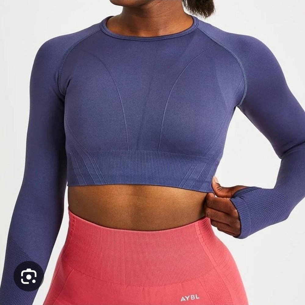 AYBL Steel Blue Long Sleeve Crop Top